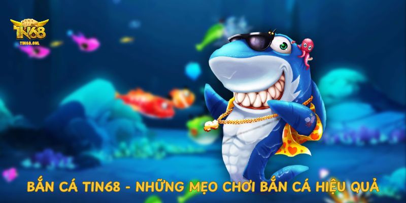 Quy Tắc Bắn Cá Cơ Bản